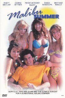 Постер фильма Malibu Summer