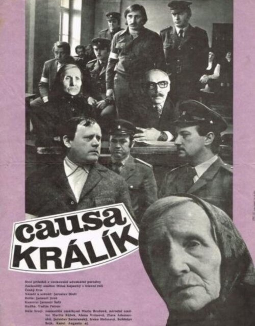 Постер фильма Дело кролика