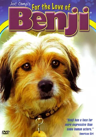 Постер Ради любви к Бенджи (1977)