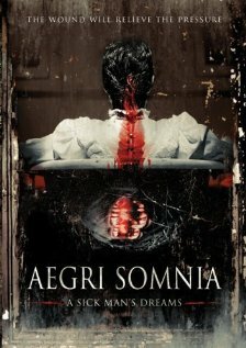 Постер фильма Aegri Somnia