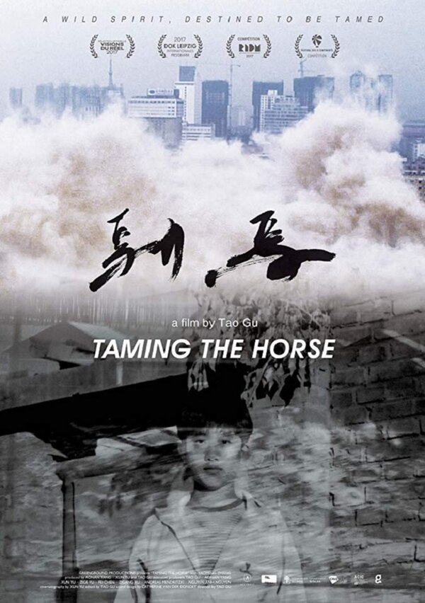 Постер фильма Taming the Horse