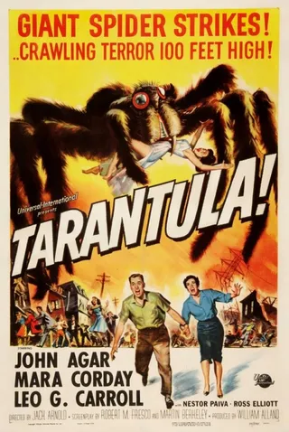 Постер Тарантул (1955)