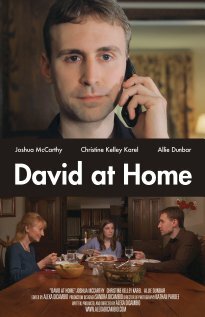 Постер фильма David at Home