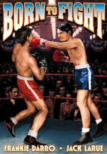 Постер фильма Born to Fight