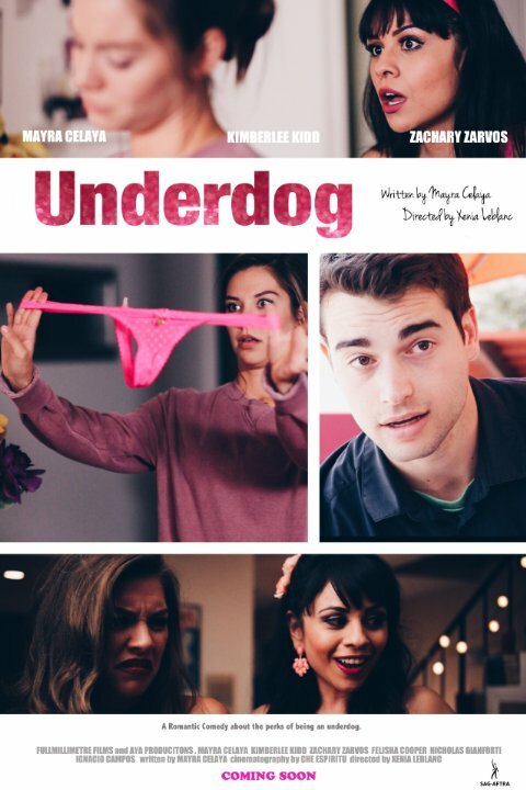 Постер фильма The Underdog