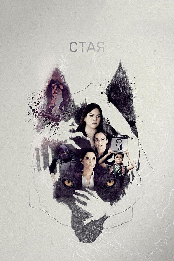 Постер сериала Стая