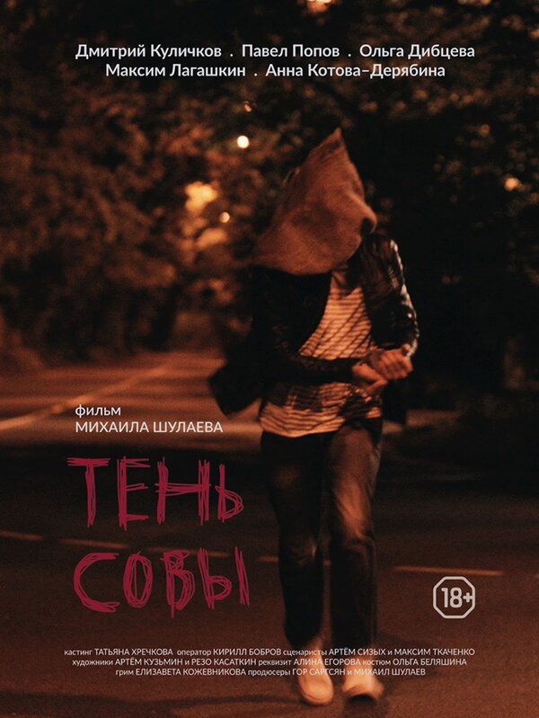Постер фильма Тень Совы