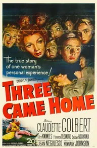 Three Came Home
