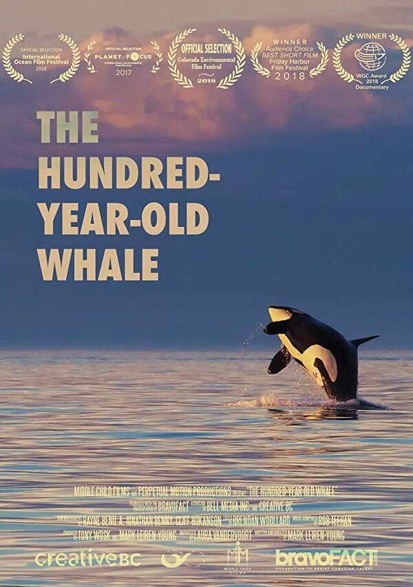 Постер фильма The Hundred Year Old Whale