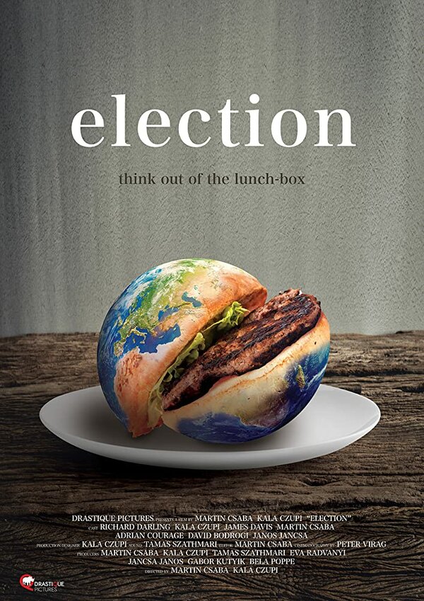 Постер фильма Election