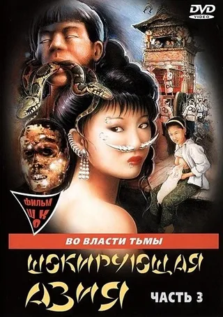Постер Шокирующая Азия 3 (1996)