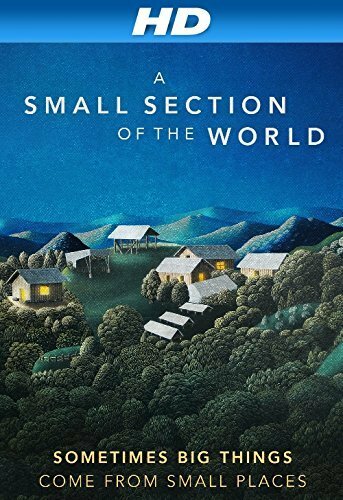 Постер фильма A Small Section of the World