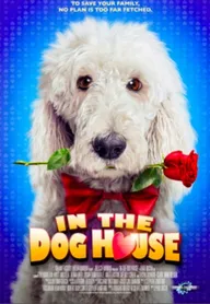 In the Dog House