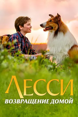 Постер Лесси. Возвращение домой (2020)