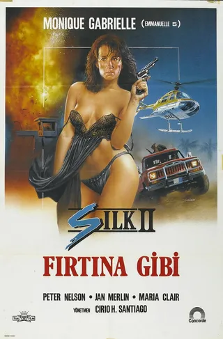 Постер Шелк 2 (1989)
