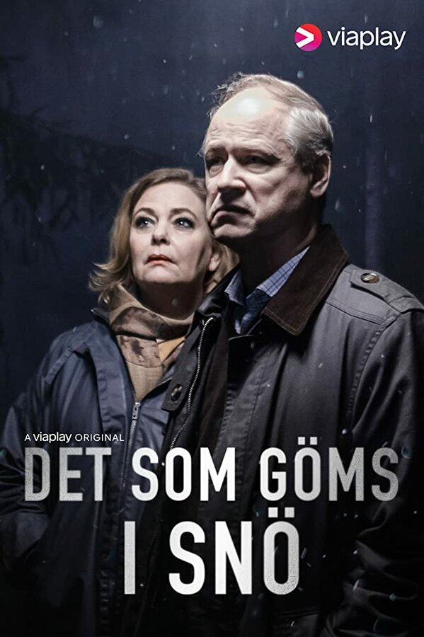Постер сериала Что спрятано в снегу