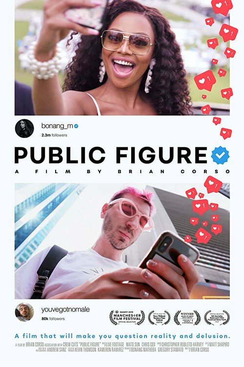 Постер фильма Public Figure