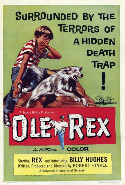 Постер фильма Ole Rex