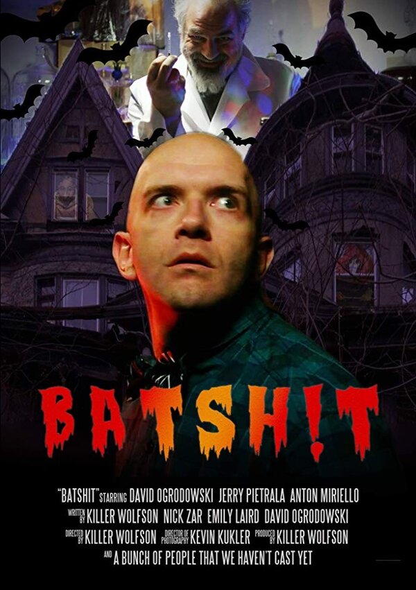Постер фильма Batshit