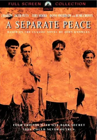 Постер Сепаратный мир (2004)
