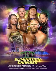 WWE Камера ликвидации