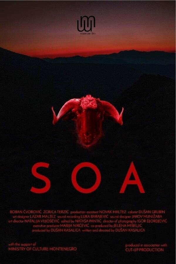 Постер фильма Soa