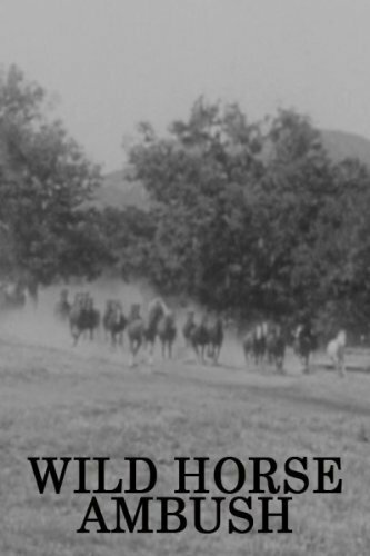 Постер фильма Wild Horse Ambush