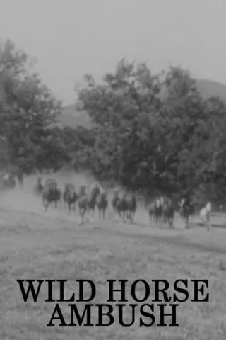 Постер Wild Horse Ambush (1952)
