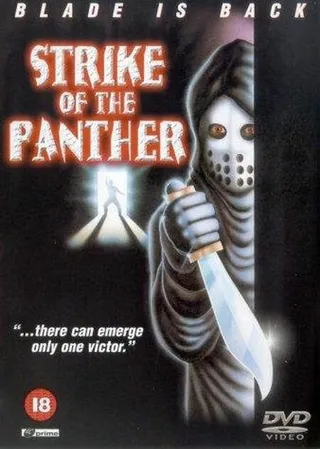Постер Удар пантеры (1988)