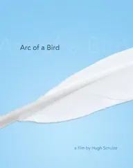 Arc of a Bird
