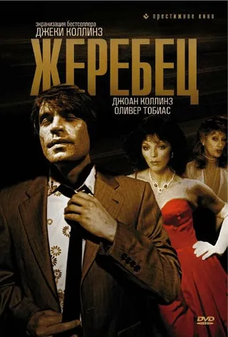 Постер Жеребец (1978)
