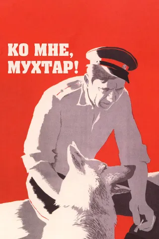 Постер Ко мне, Мухтар! (1964)