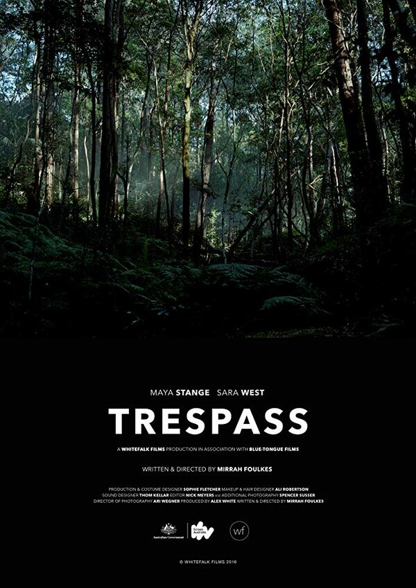 Постер фильма Trespass