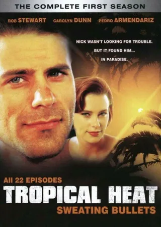 Постер Тропическая жара (1991)