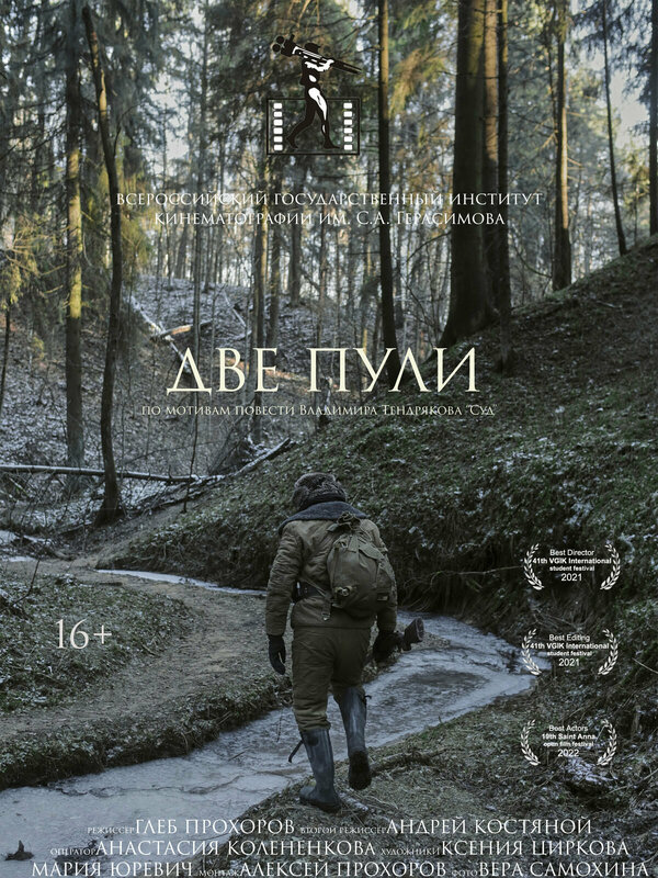 Постер фильма Две пули
