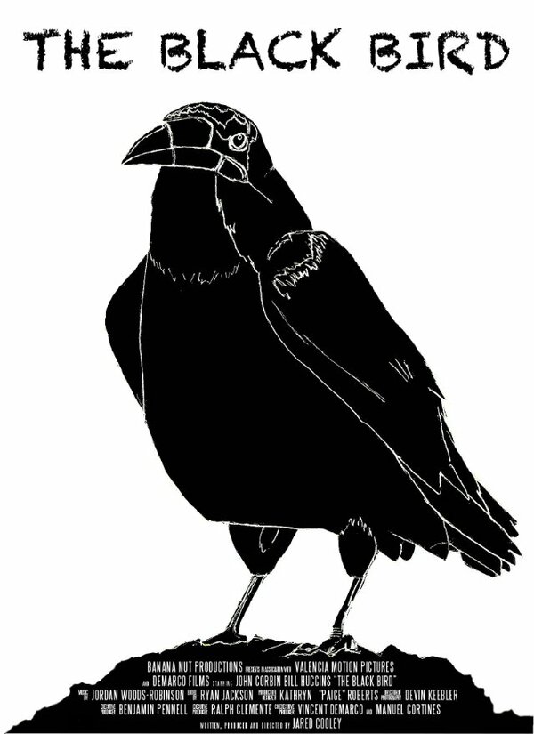 Постер фильма The Black Bird