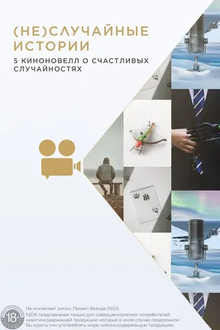 Постер (Не)случайные  истории (2020)