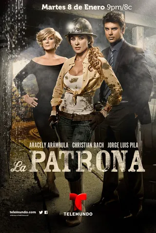 Постер Госпожа (2013)