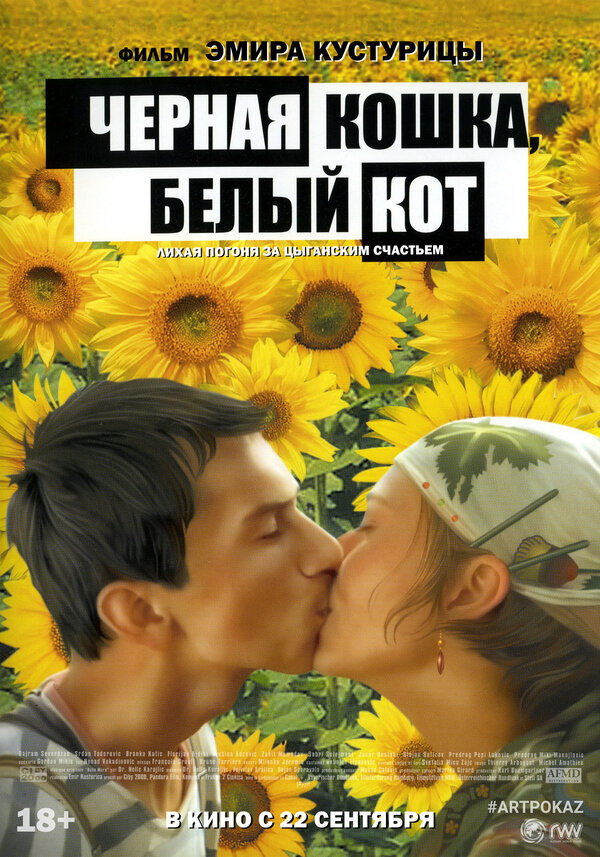 Постер фильма Черная кошка, белый кот