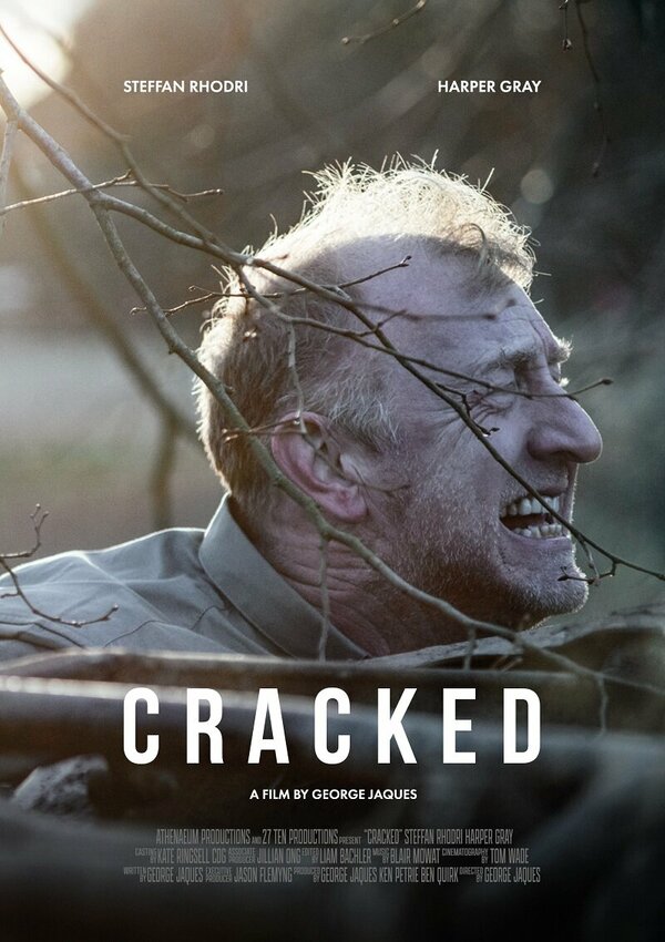 Постер фильма Cracked