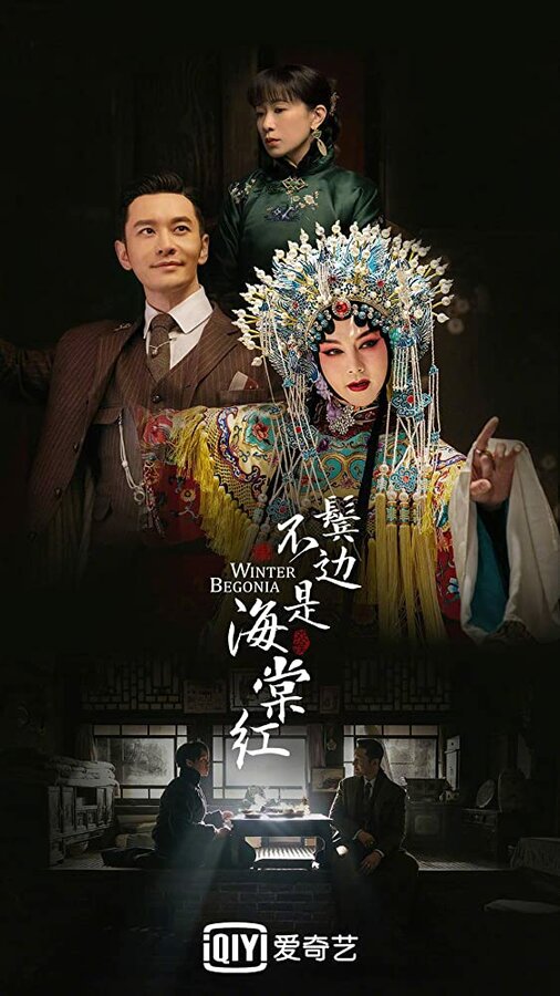 Постер сериала Зимняя бегония