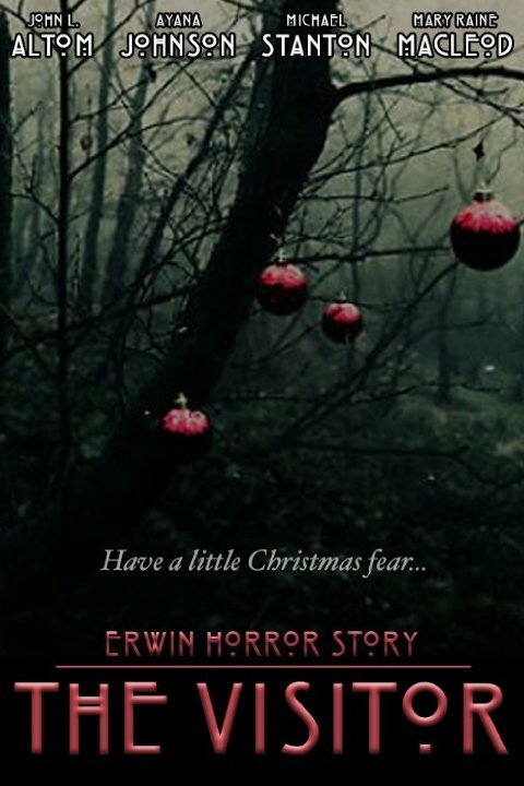 Постер фильма Erwin Horror Story: The Visitor