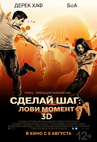 Постер Сделай шаг: Лови момент (2013)