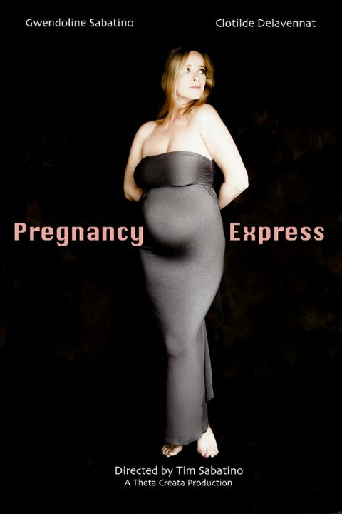Постер фильма Pregnancy Express