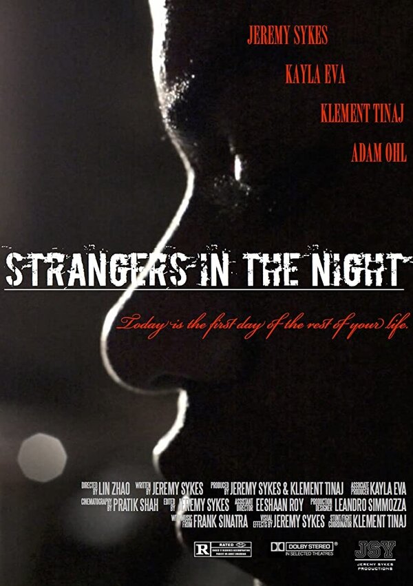 Постер фильма Strangers in the Night