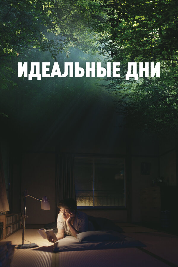 Постер фильма Идеальные дни