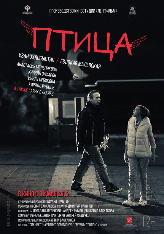 Постер фильма Птица