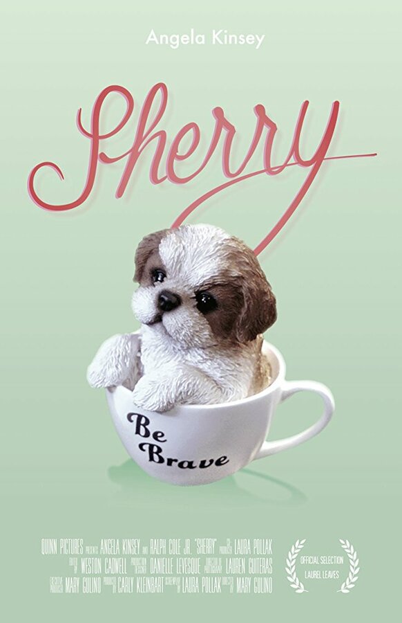 Постер фильма Sherry