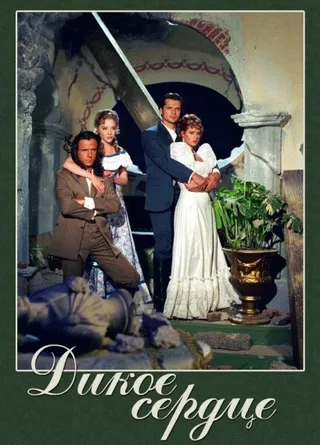 Постер Дикое сердце (1993)