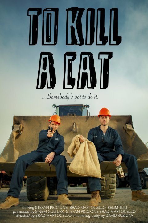 Постер фильма To Kill a Cat